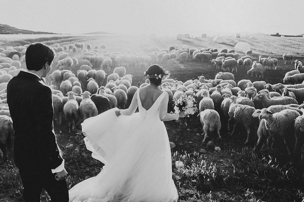 Красивейшие свадебные фотографии 2015 года