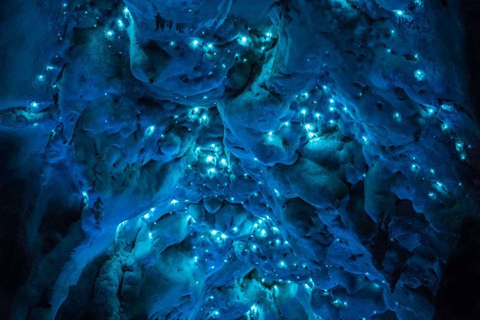 Живой свет: волшебная пещера светлячков в Новой Зеландии
