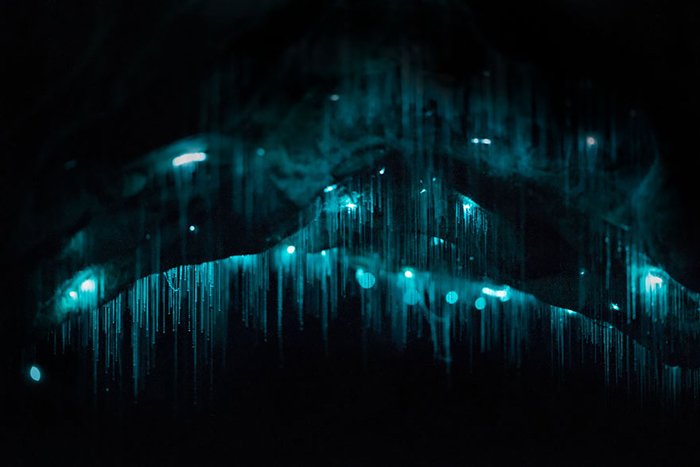 Живой свет: волшебная пещера светлячков в Новой Зеландии