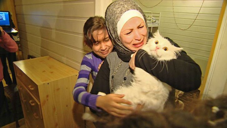 Пропавший кот вернулся в семью иракских беженцев, преодолев полмира