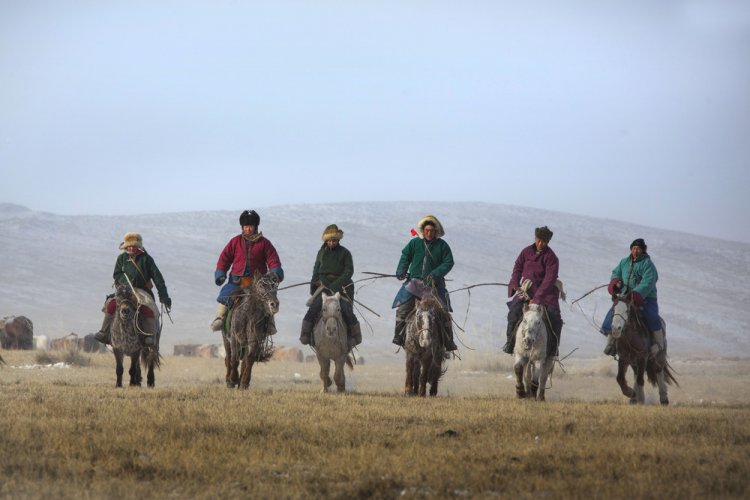 Соревнования монгольских ковбоев