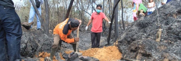 Похороны семейства орангутанов, погибшего в лесном пожаре