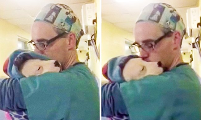 Ветеринар успокаивал щенка после операции, как маленького ребенка