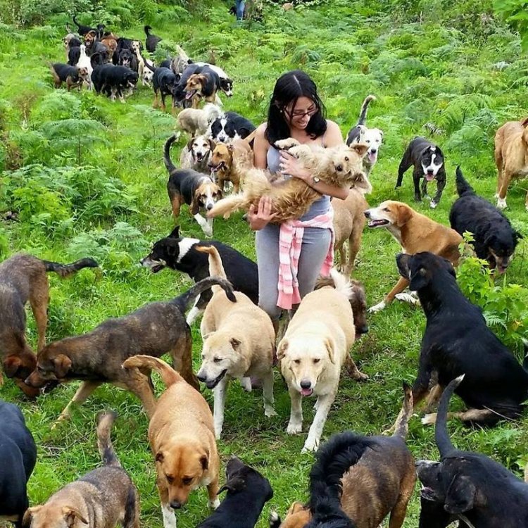 Рай для собак в Коста-Рике