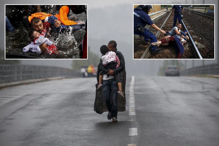 Фотографии с мигрантами, за которые дали Пулитцеровскую премию