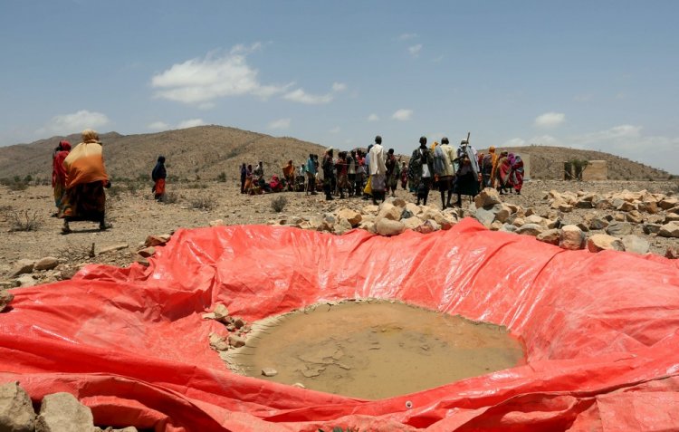 Засуха в Сомалиленде