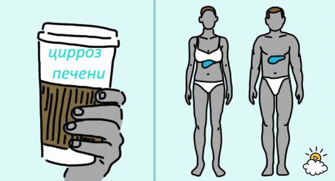 Что делают с вашим телом 3 чашки кофе в день