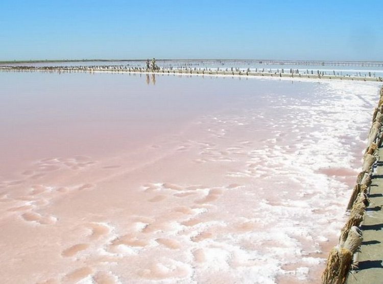 Мертвое море в Украине - не фантастика, а реальность
