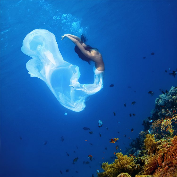 Великолепные подводные фотографии