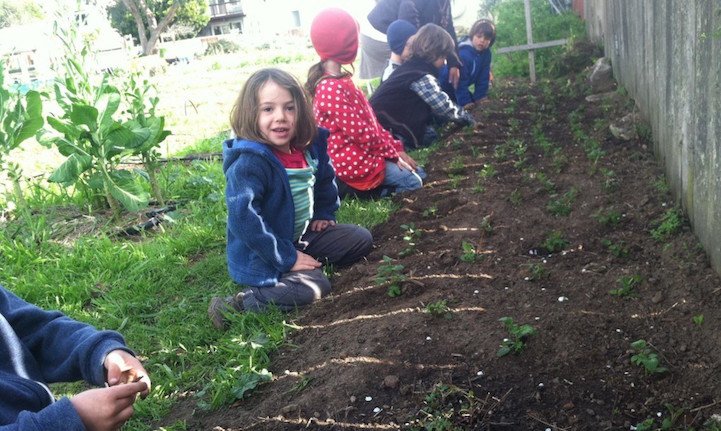 Школа в Сан-Франциско, где детей учат выращивать себе еду