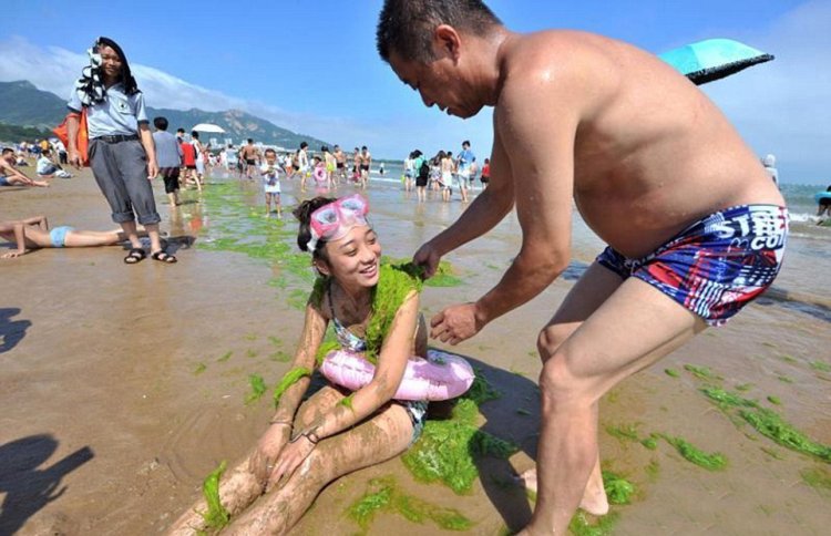Тонны водорослей не мешают китайцам отдыхать