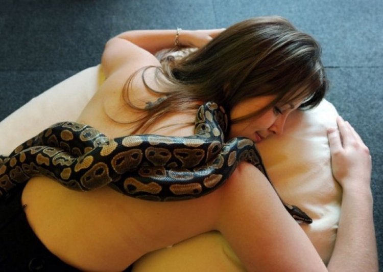 Эта девушка обожала спать с питоном, но змея вдруг стала худеть... Узнав, в чём дело, я содрогнулся