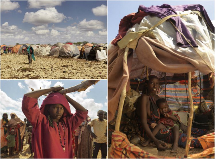 Надежды нет: сильнейшая засуха в Сомали