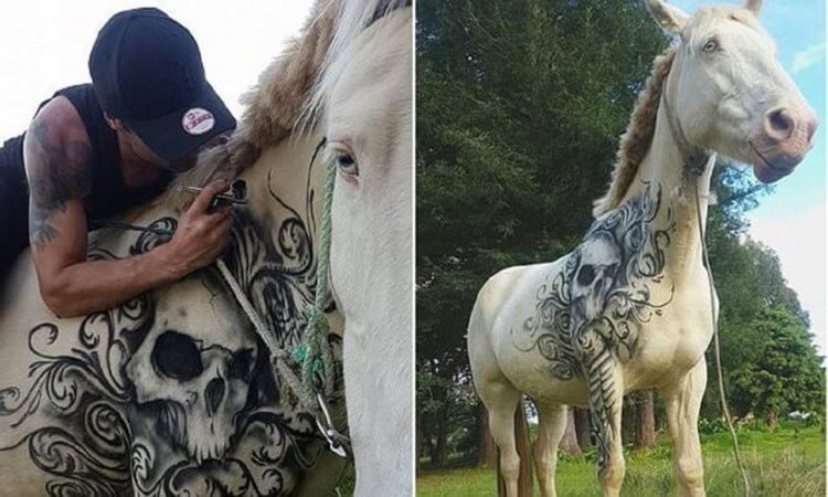 Тату и лошади: уникальный проект известного тату-мастера из Новой Зеландии (фото)
