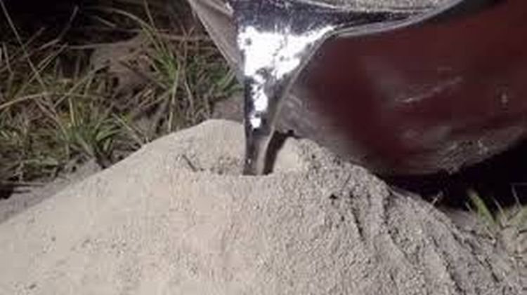 Мужчина хотел видеть как муравейник устроен изнутри... и он залил его алюминием! (видео)