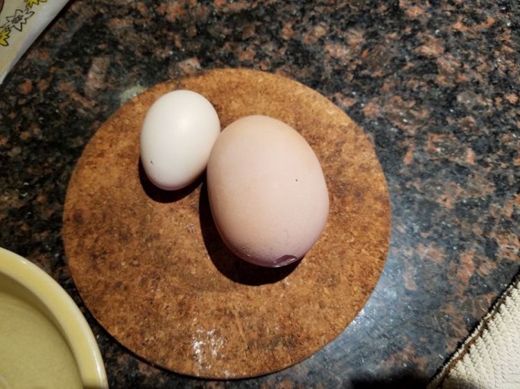 Курица снесла огромное яйцо. Внутри оказалось нечто совершенно неожиданное! (видео)