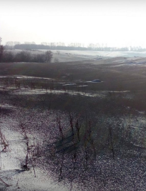Дышите глубже: черный снег в Кемеровской области